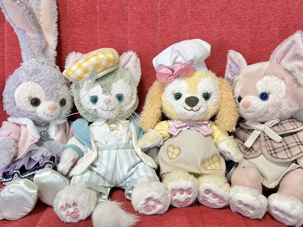 ジェラくん
新しいお洋服をゲット✨