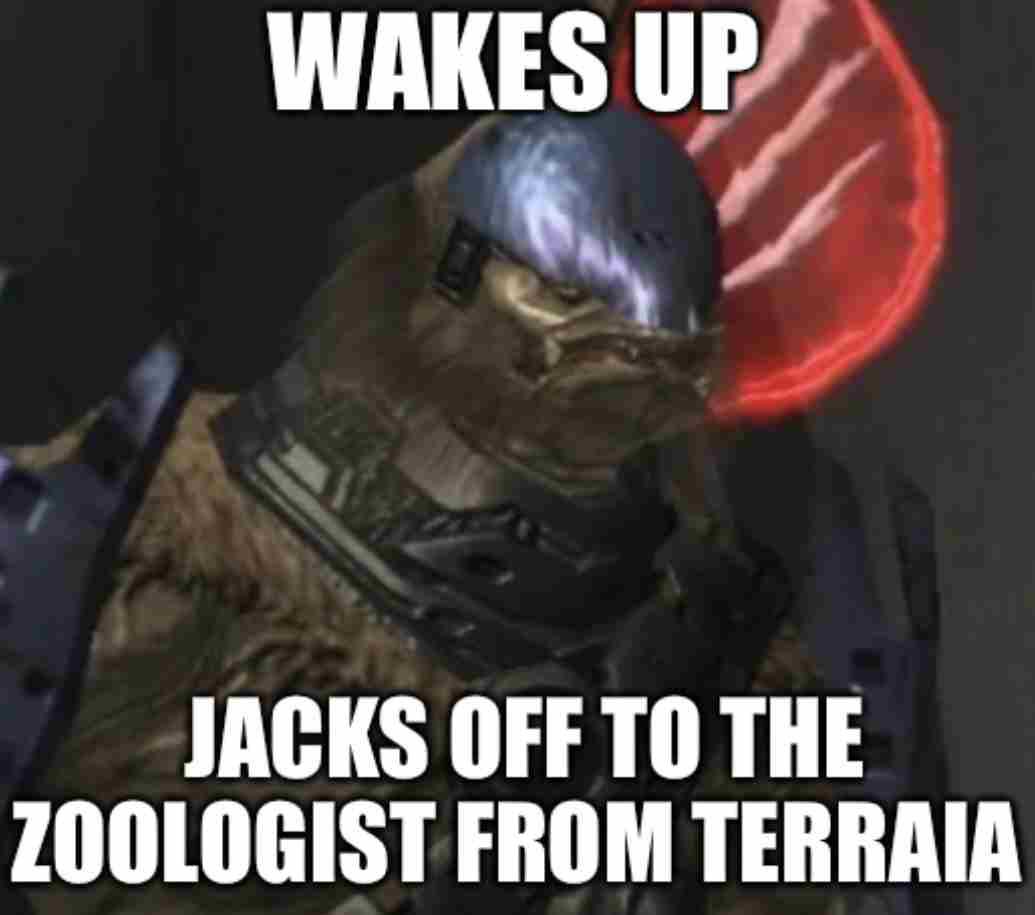 The Halo 2 Brute Captain tweet media