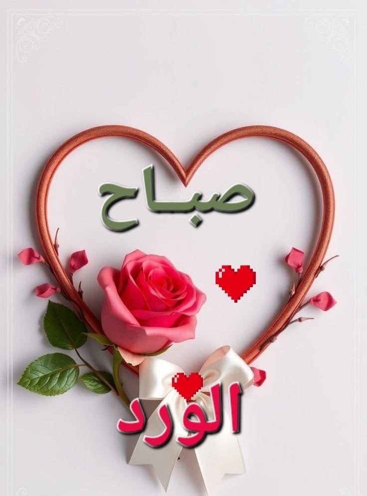 هلا العتيبي♥️ tweet media