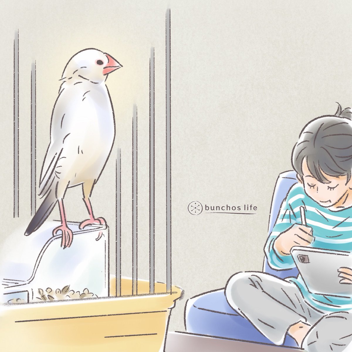 こむぎ🕊️ (@komugi_chan55) / Posts / X