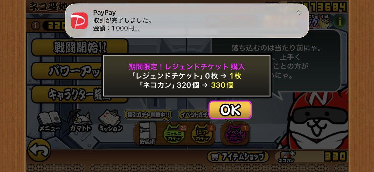 ねこねこ tweet media
