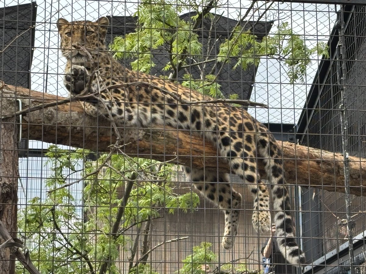 enTF10's tweet photo. 旭山動物園楽しかった〜！
お目当てのガチャコンプセットもGET
思ってたより人多くて良かったですね😌 https://t.co/3kQnpE3l9i