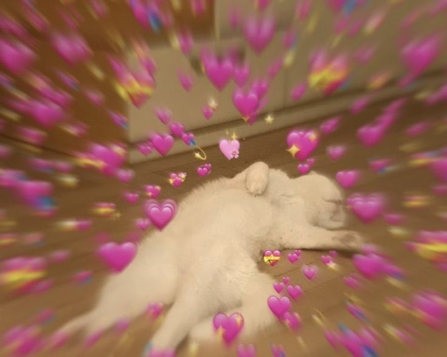 𝗙e𝐚𝐫𝗹𝐞𝐬𝐬⁴⁵ tweet media