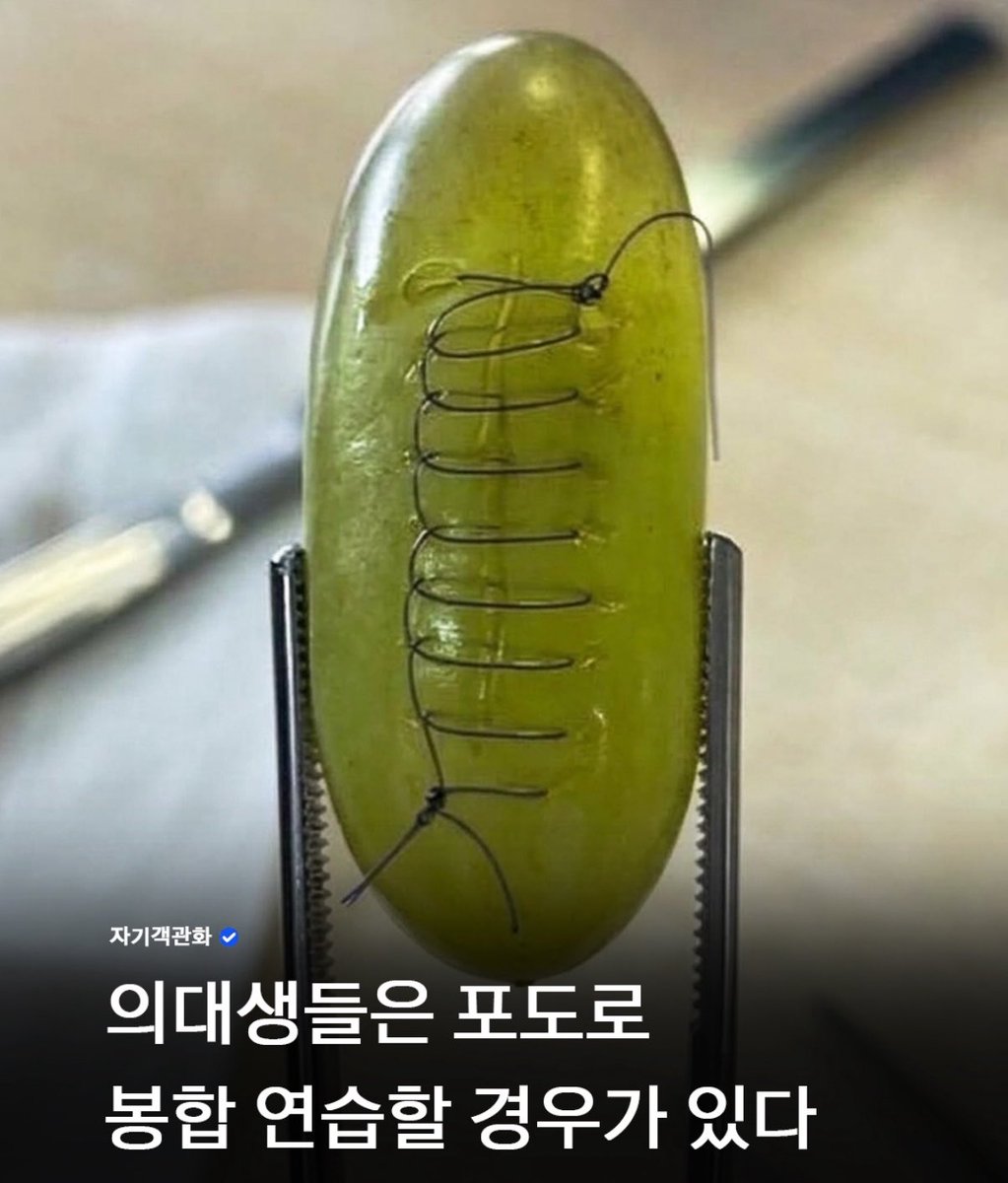 캣츠파파 tweet media