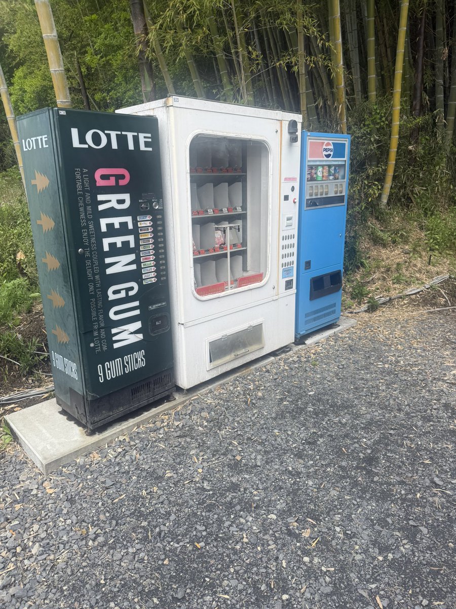 いむゲンター tweet media