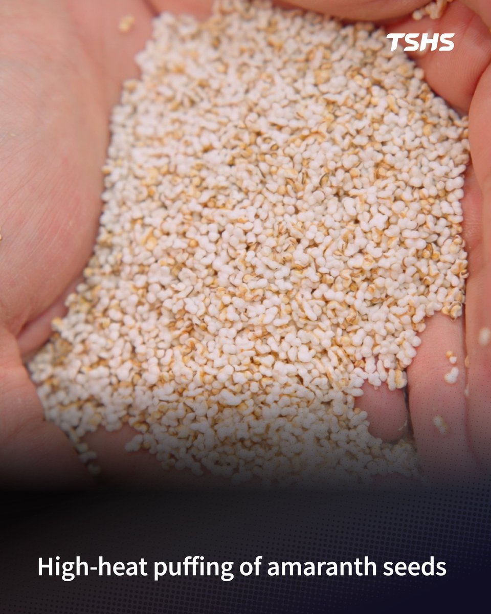 TshsFoodMachine's tweet image. 🌿IRD Dry Test | Amaranth Seeds
Fine seeds move with vibration while IR heats directly.
👉Rapid internal heating → faster moisture loss
Energy saving ~20–60%
Stainless steel design + adjustable settings
Small, dense materials need precise control.
That’s why we test.
#Drying