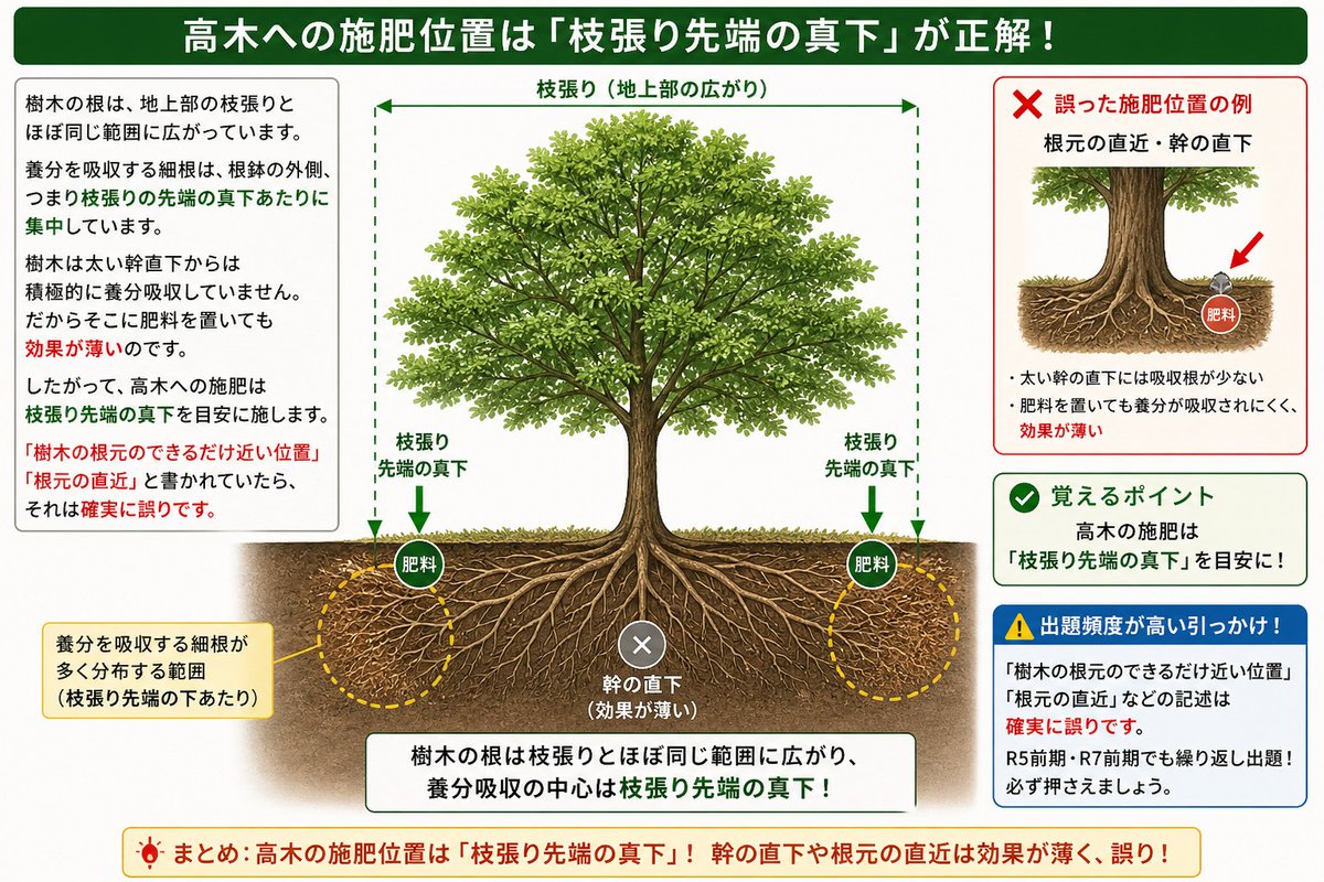 黒田豊🌲造園家 tweet media