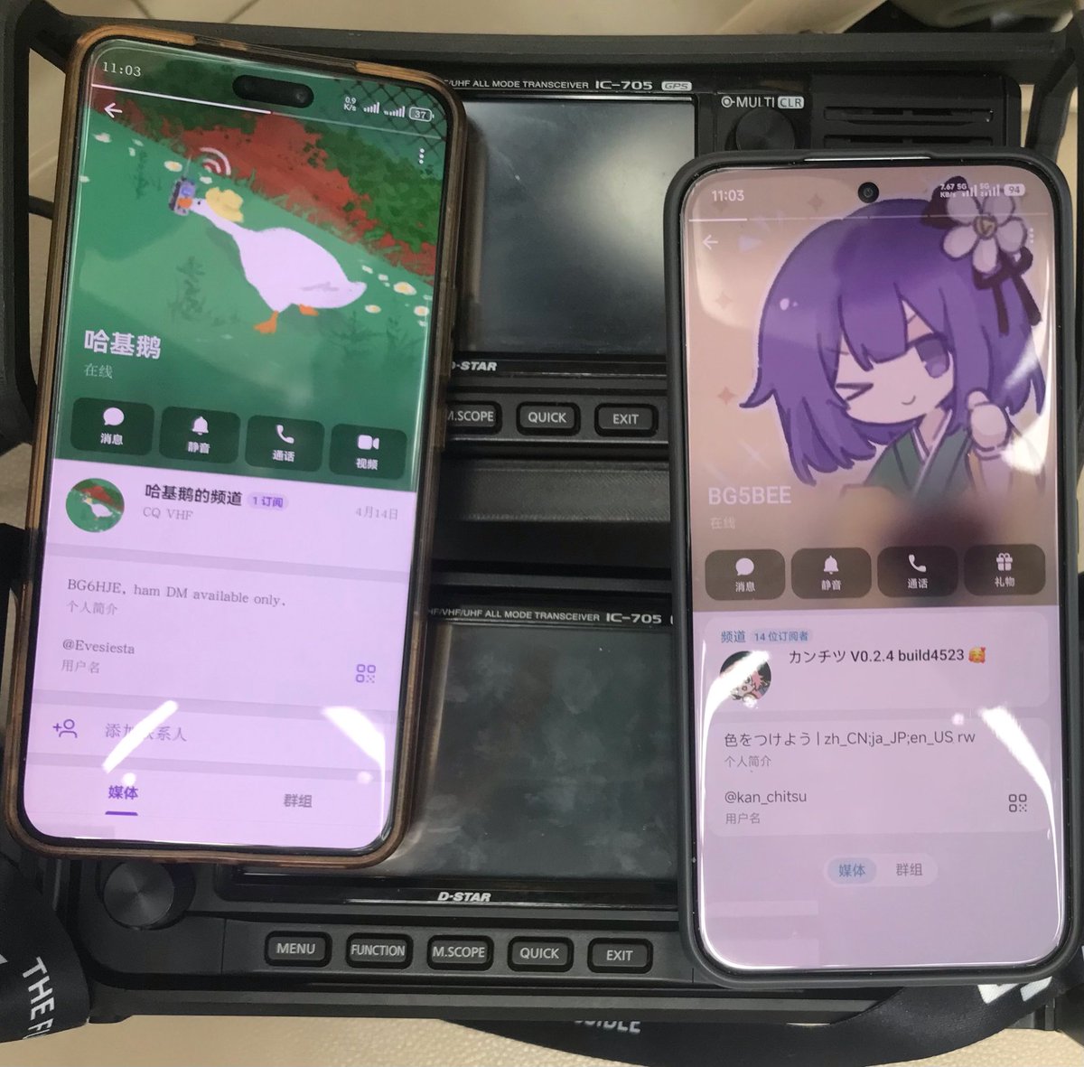 寒蛰❄️🥰 tweet media