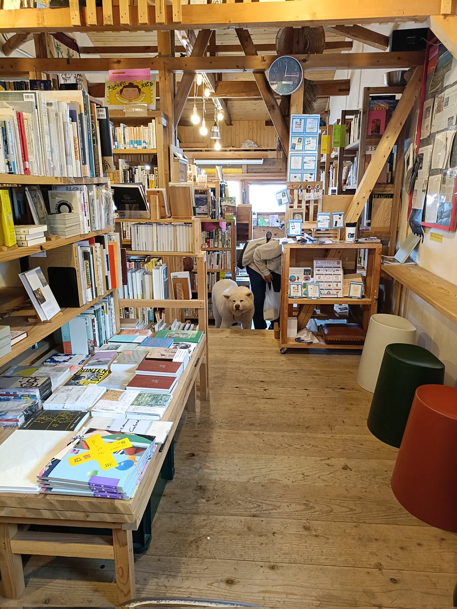 今日はおとうさん（犬の名前）が来てます。多分1日一緒に店番してます。
