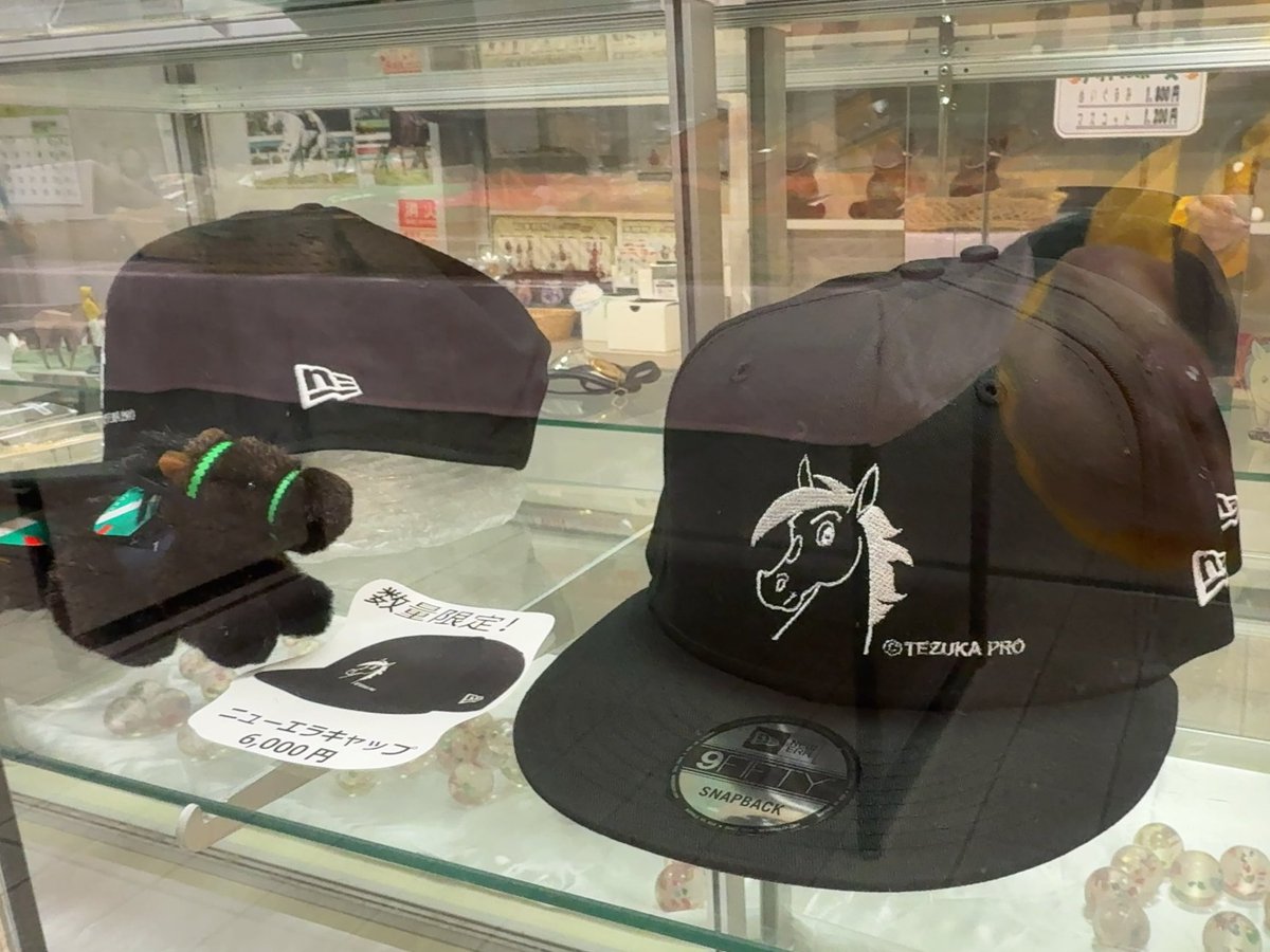 iwatekeiba's tweet photo. 盛岡競馬場スタンド１階売店🏇

各種ハヤテくんグッズ勢ぞろい！！！

かわいいアイテムから競馬場実用アイテムまでいろんな馬グッズ販売中🏇🥕🏇🍀🏇🥇🥕🏇🍀🏇

#盛岡競馬場 https://t.co/7xQ2K2wCS4
