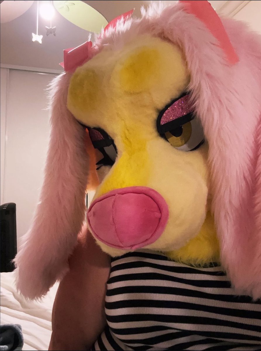 mylilpumpkinie's tweet photo. I got my fursuit a couple weeks ago! I guess it’s time to finally debut it on here :3 https://t.co/b8B6HnDUe7