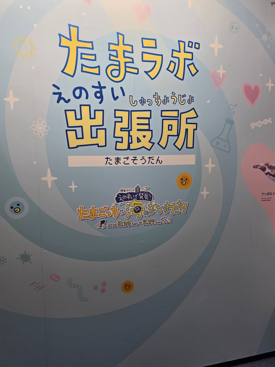 mitnat1024's tweet photo. たまごっちコラボでえのすい。
＃えのたま https://t.co/abIiJMsCLf