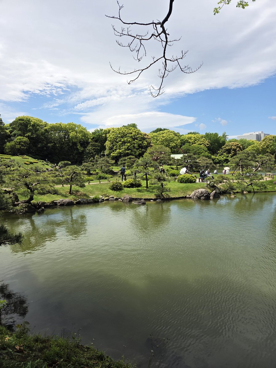 kama_rou's tweet photo. みどりの日💚
清澄庭園は無料💚 https://t.co/RQzkAqEToY