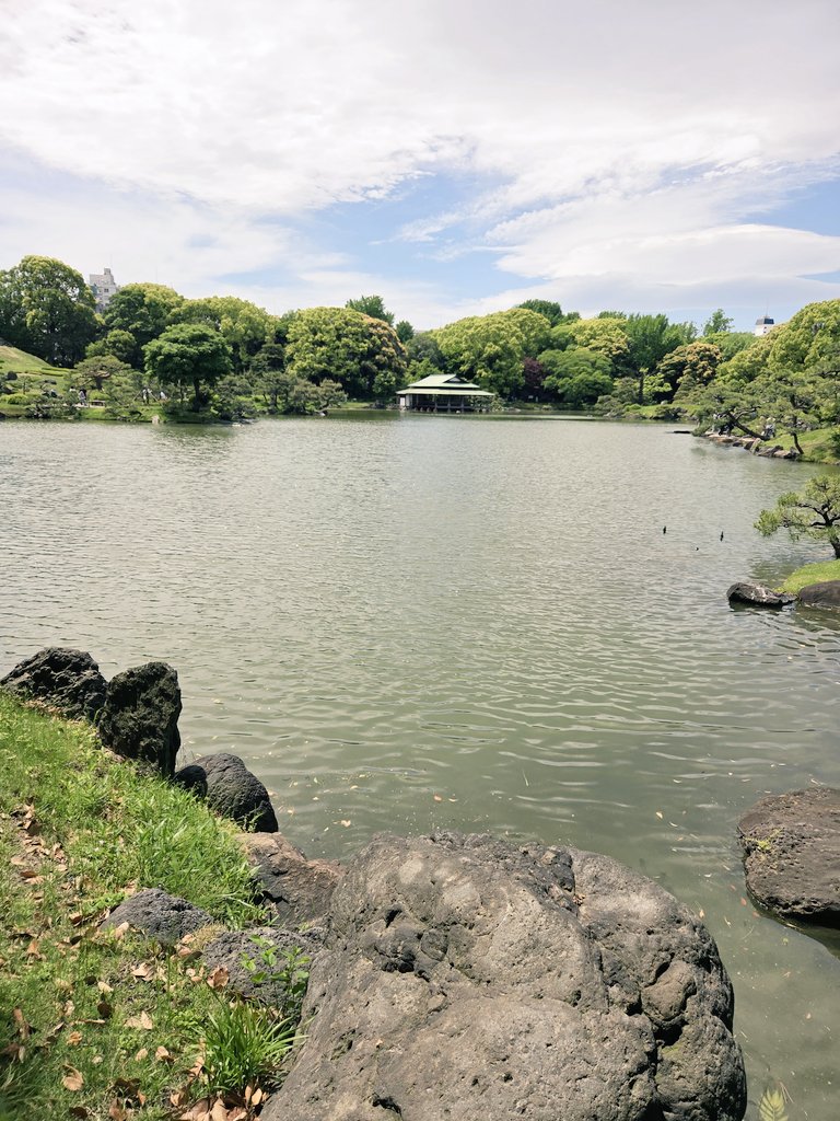kama_rou's tweet photo. みどりの日💚
清澄庭園は無料💚 https://t.co/RQzkAqEToY