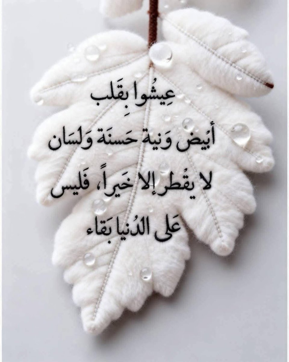 عقيًل بن محمد العقيًل( أبو أنس) tweet media