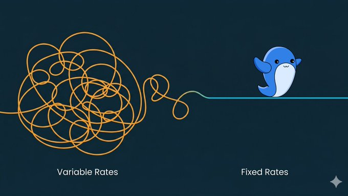 胡杨🐬TermMax tweet media