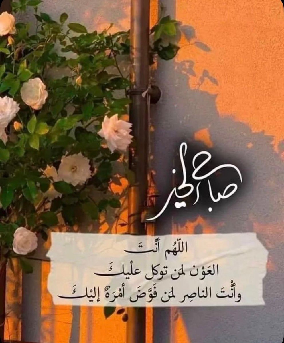 ghadeer mj tweet media