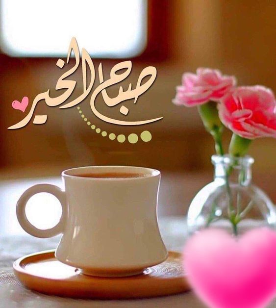 🌸maha🌸 tweet media