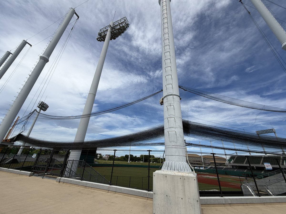 🏟️⚾️YUKI🐟NECO.⚾️🏟️ tweet media