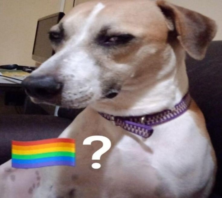 sentindo cheiro de lesbianismo