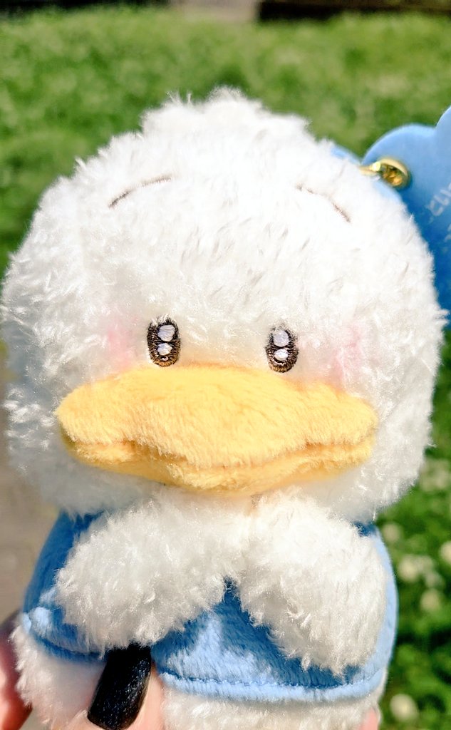 きすけ tweet media
