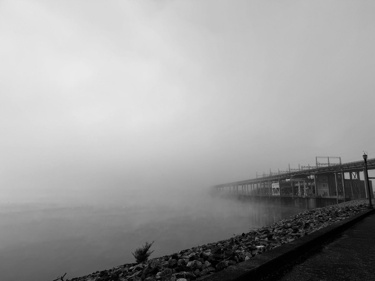 denizprinc71475's tweet image. #Blackandwhitephotography #Blackandwhite #NatureVibes #fog #river #water #bridge #World #tennessee