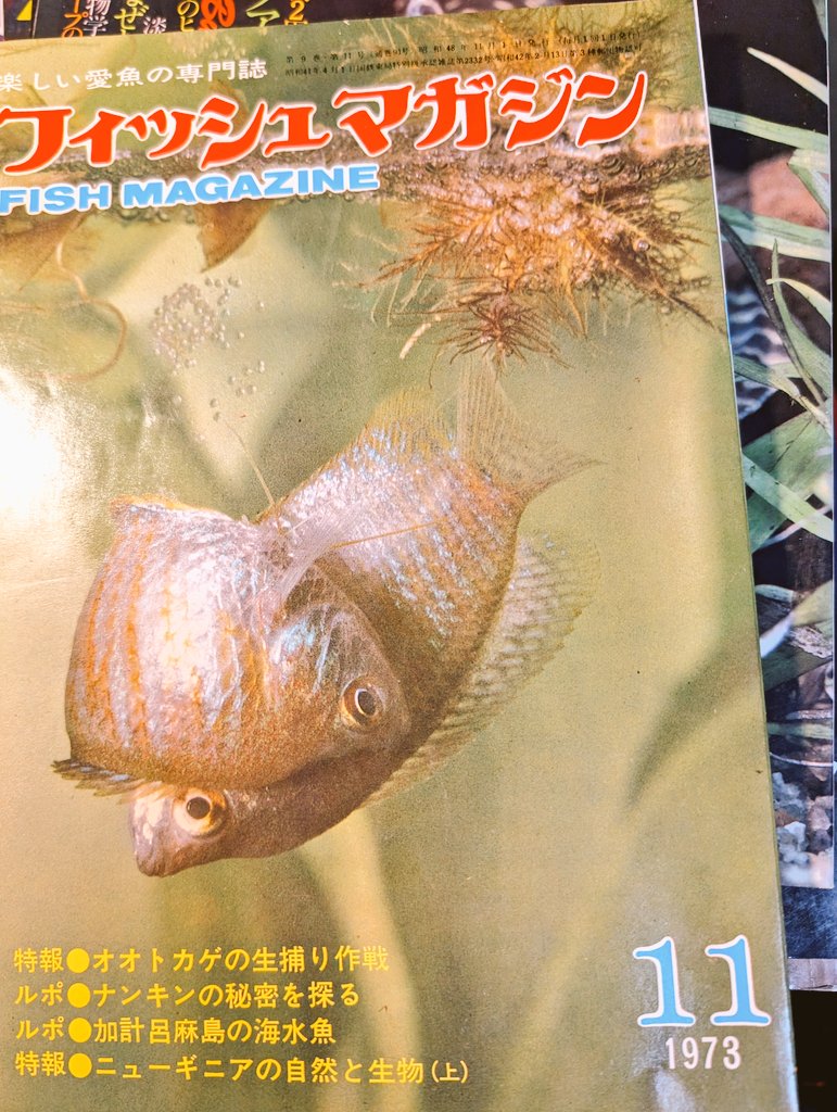 Exotic Pet retro future tweet media