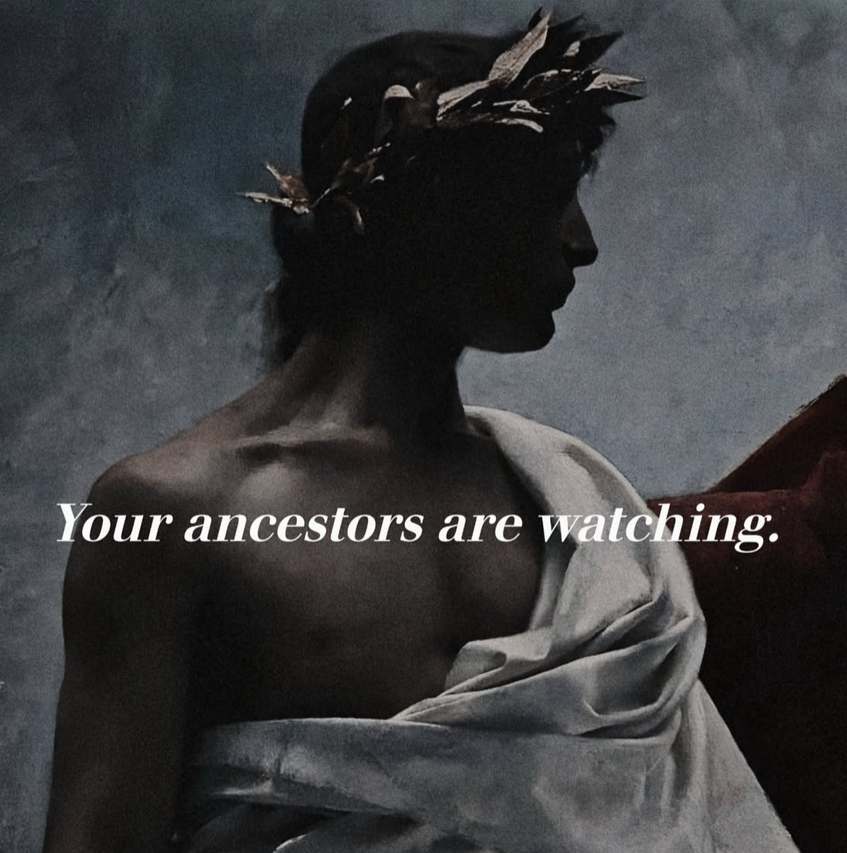 Magnificus Reborn tweet media
