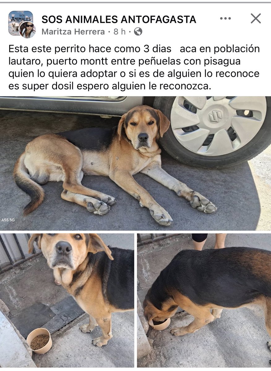 Jordi tweet media
