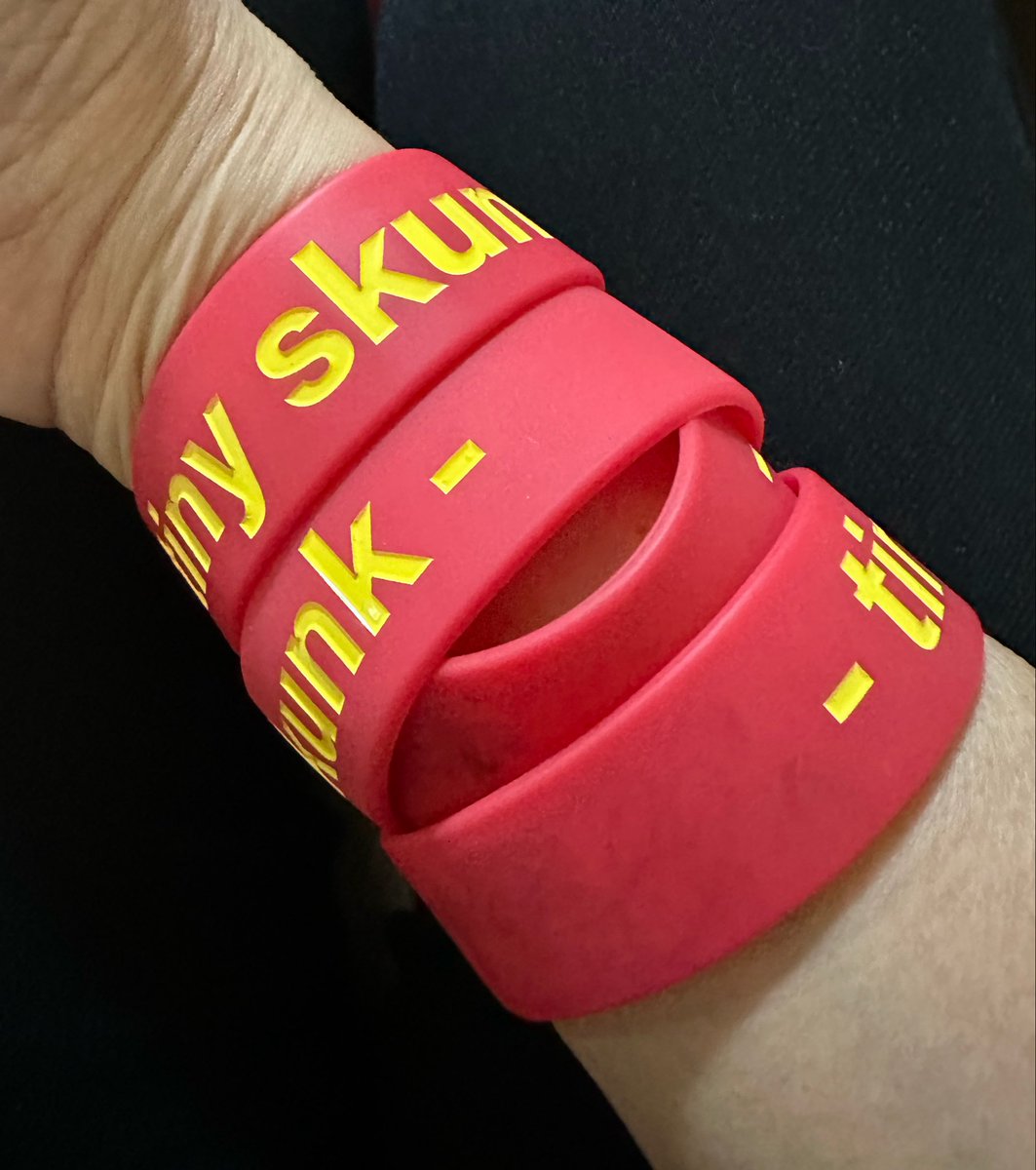 5/3 横浜BAYSISにてtiny skunkを浴びまくってきた🦨🦨🦨🦨
泣くような曲じゃないのに1曲目から抑えていたものが溢れまくり…
ひとしきりボロ泣きして、汗だくで跳んで最高に楽しかった👍
大好きなkakureanに呼んでもらえて嬉しかったなぁ〜Panさんが正式メンバーになったようです！おめでとう👏
