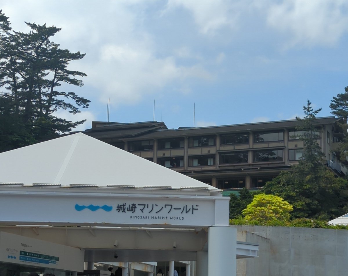 応龍 tweet media