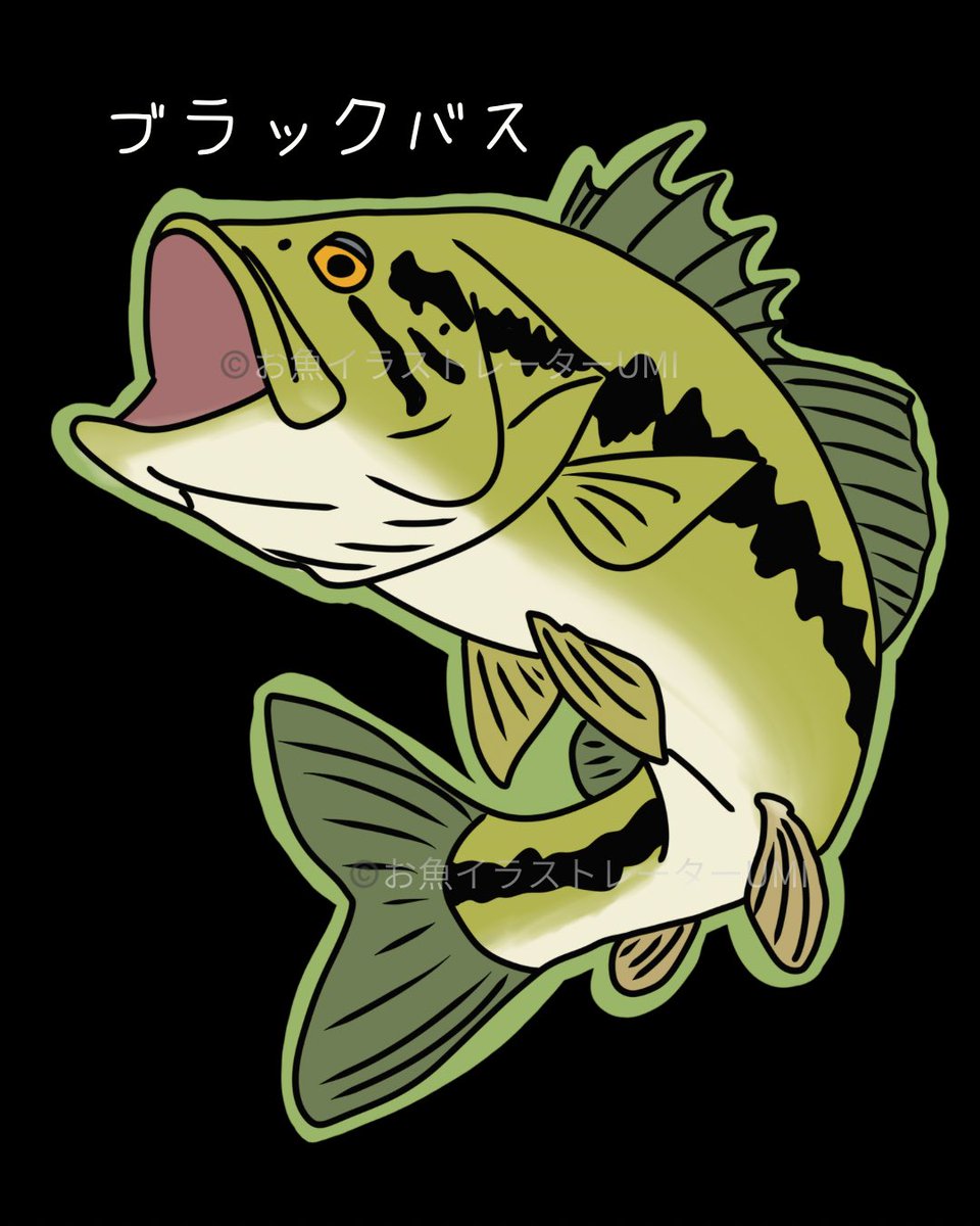 お魚イラストレーターUMI (@umi_lovedrawing) / Posts / X