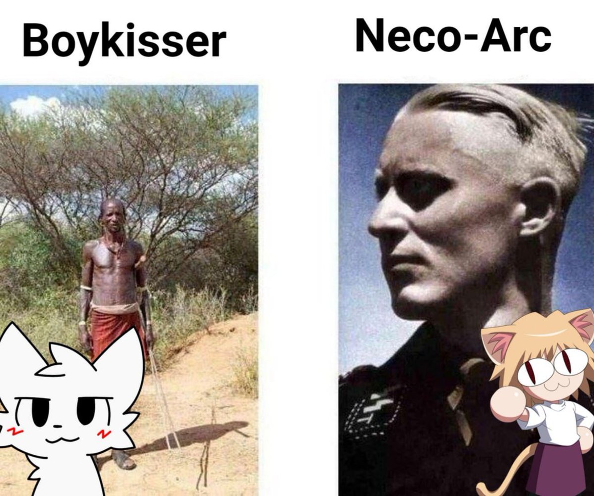 Rock Solid 2 (@shitpostrock2) on Twitter photo 