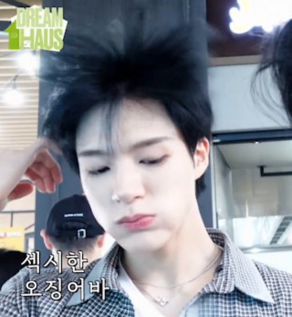 쩨루 tweet media