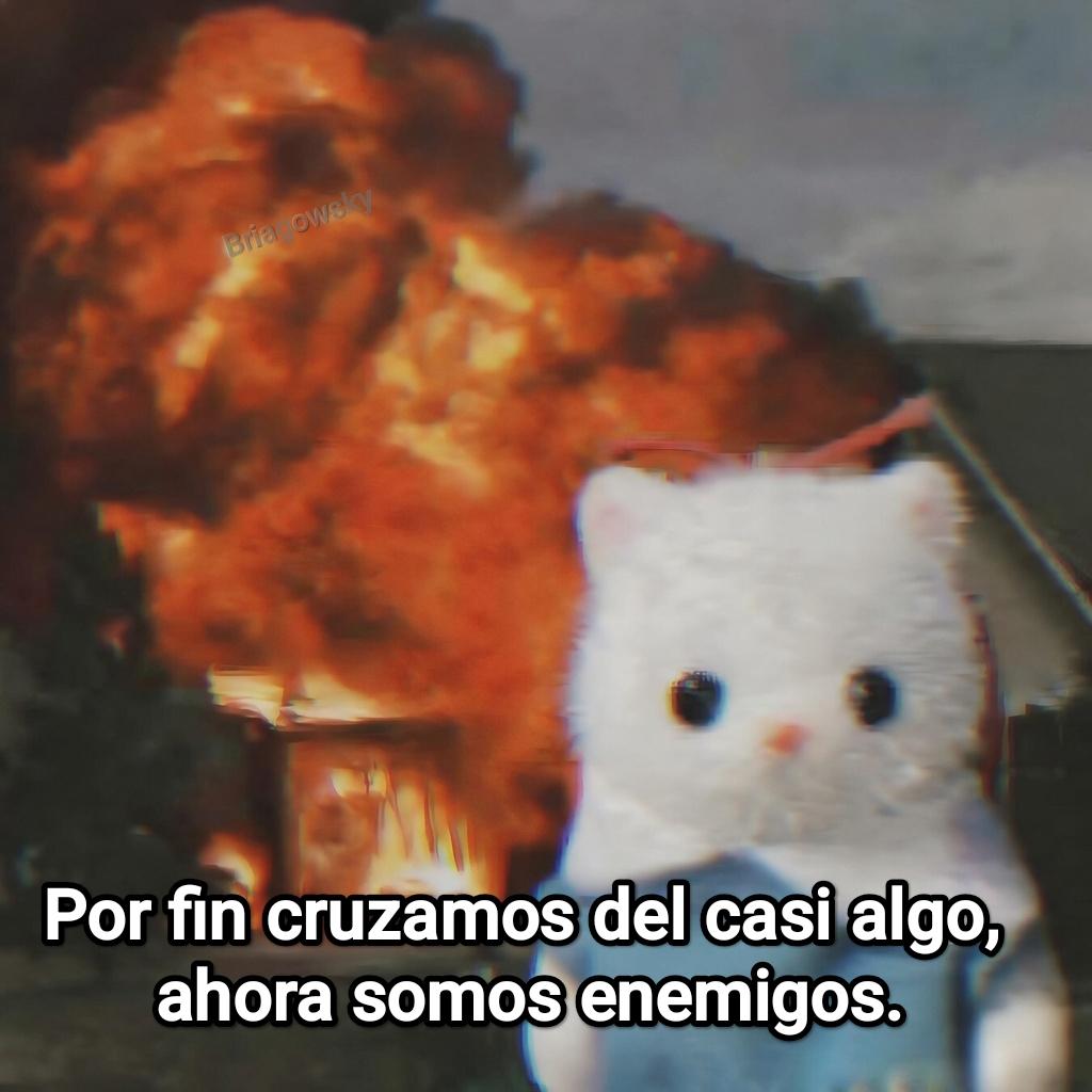 Cap Briagowsky tweet media