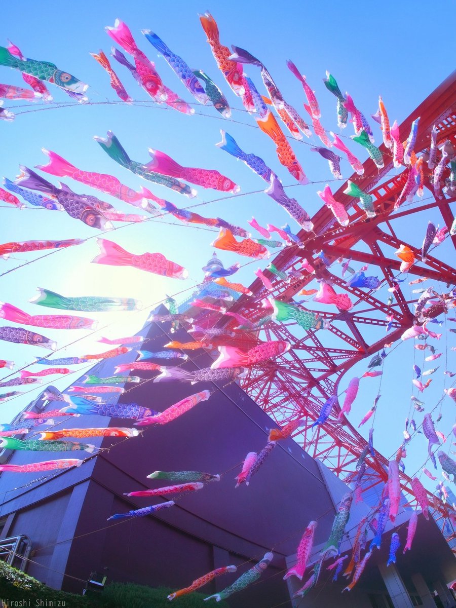 Hiroshi.Shimizu.Yozakura tweet media