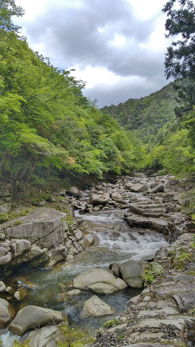 はらしとと tweet media