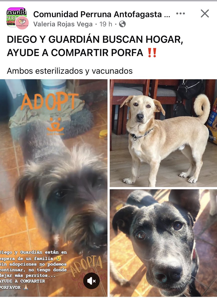 Jordi tweet media