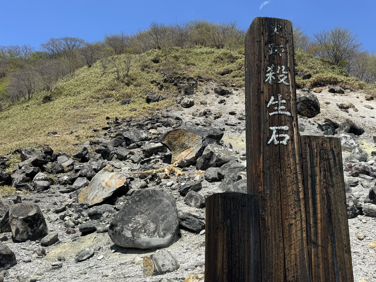 にょめ tweet media
