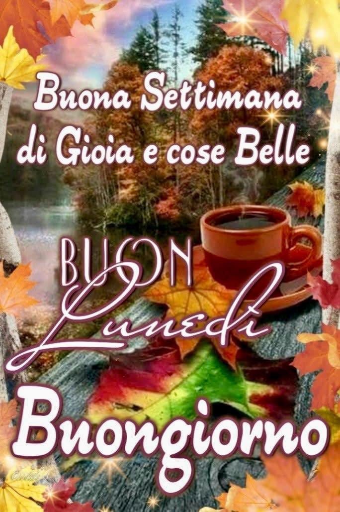 Nina Di Lascio tweet media