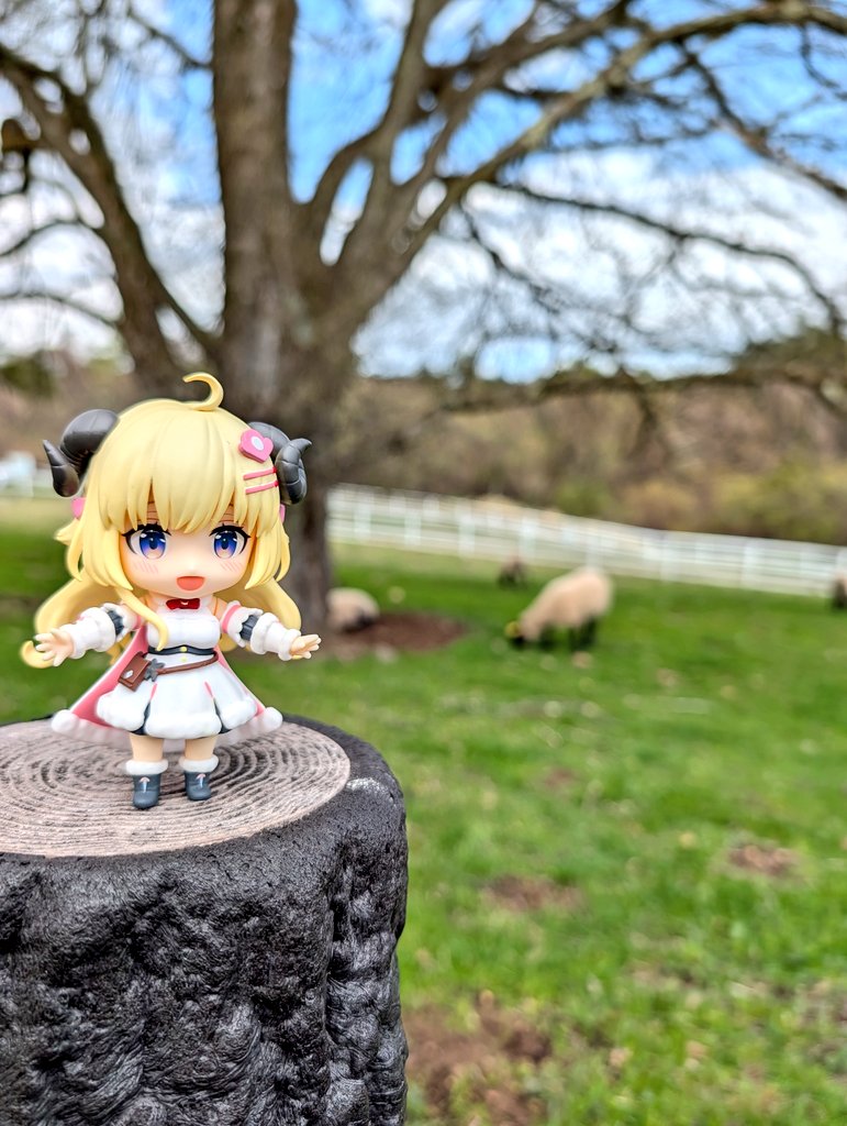 ゆどーふm🐏🐉 tweet media