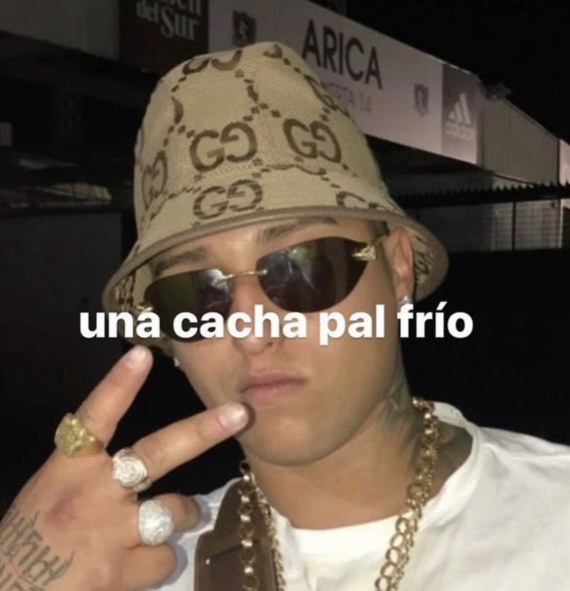 finoyelegante🐈‍⬛ tweet media