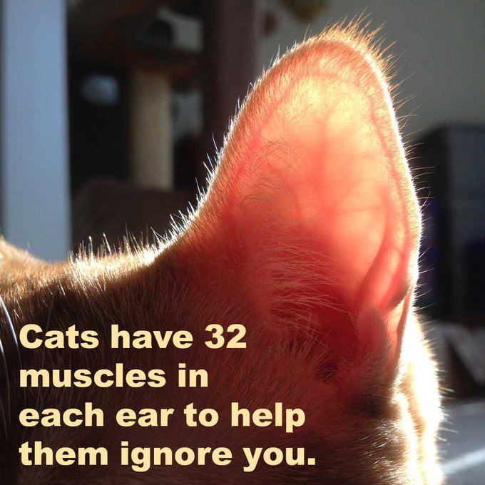 Did you know?