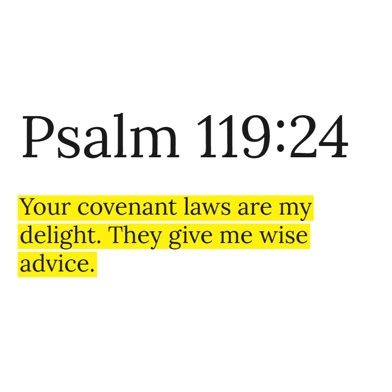 Holy Bible tweet media