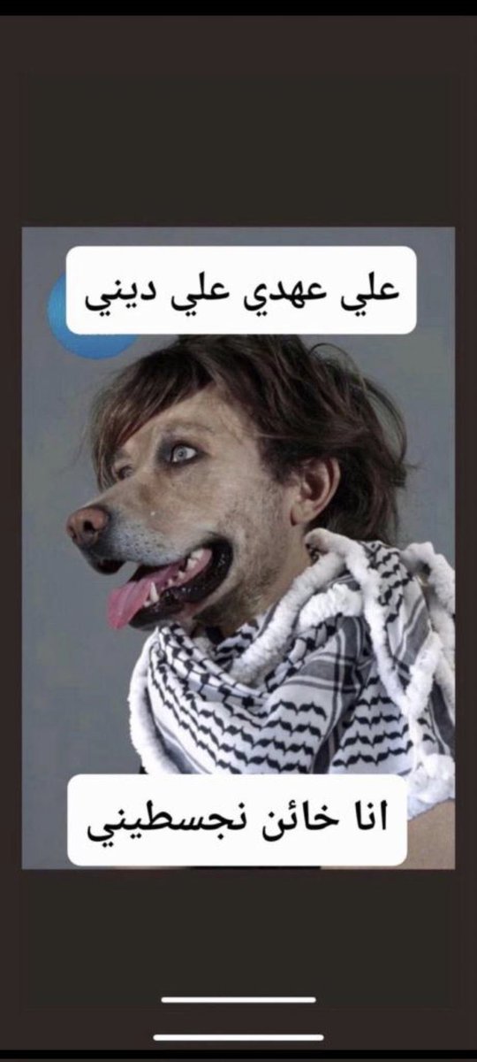 مدفع | أموي tweet media