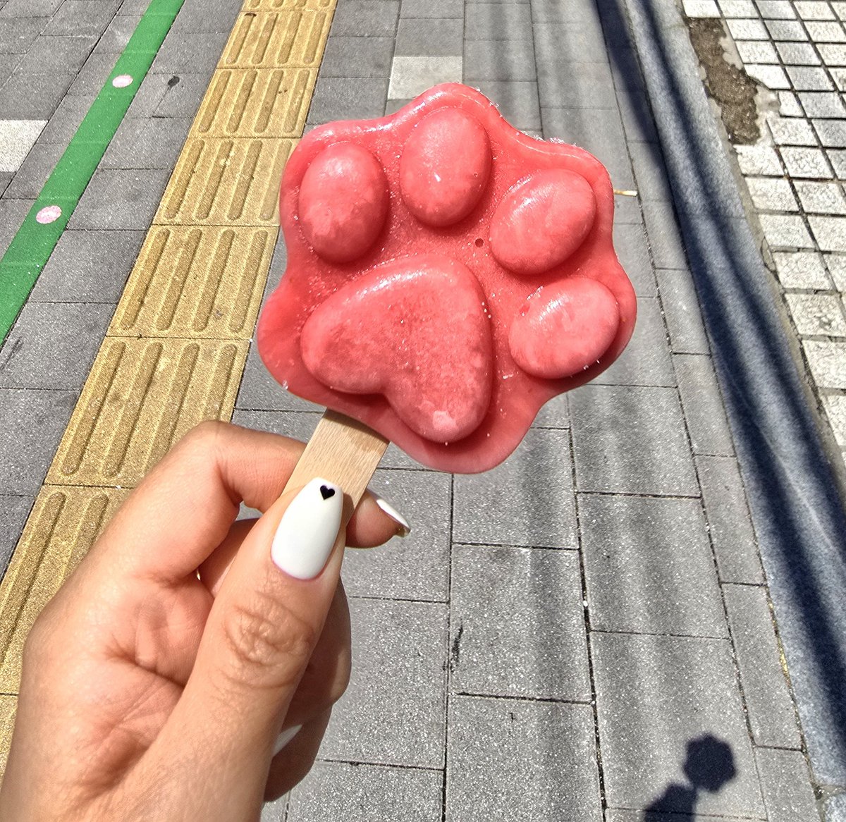 해꼬 tweet media