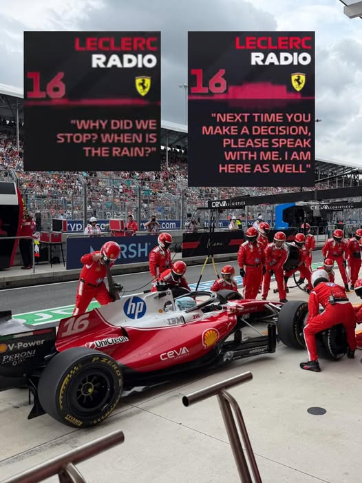 AlbertusPN's tweet photo. Mbadut lagi, smoga tahun depan Mbak Hannah Smith bisa bikin strategi Ferarri jadi Oke https://t.co/xcszdBjy6y