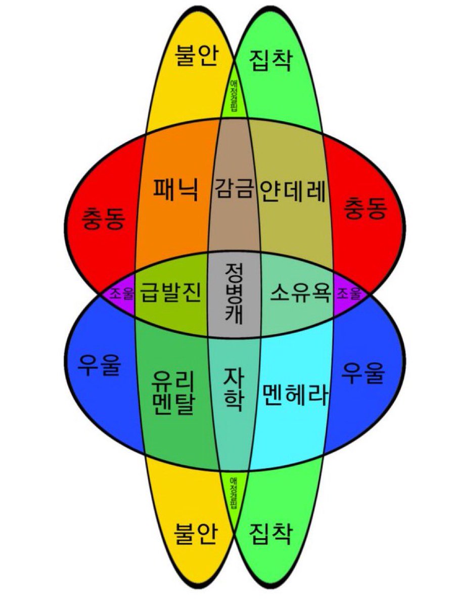 라틴띠 tweet media