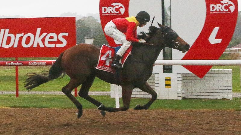 TasracingAus's tweet photo. "She’s heading in the right direction, but that will do her for this preparation; she’s done enough.”

@TrinderAdam and @Ericabyrne_1 combined for a winning treble on yesterday's eight-race card in Devonport - https://t.co/Pkj8W9VJJR https://t.co/zGUk6yFpZJ
