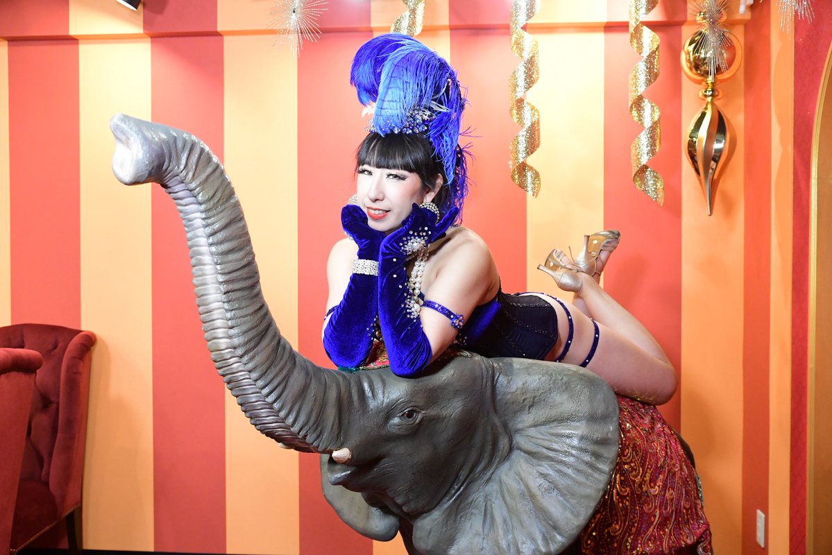 ミラ スワロウテイル🦋💎バーレスクパフォーマー tweet media